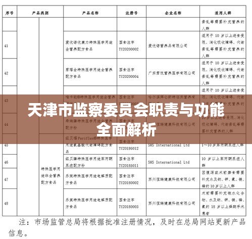 天津市監(jiān)察委員會(huì)職責(zé)與功能全面解析