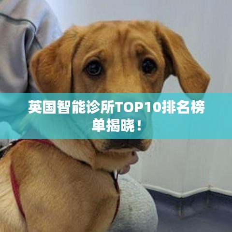 英國(guó)智能診所TOP10排名榜單揭曉！