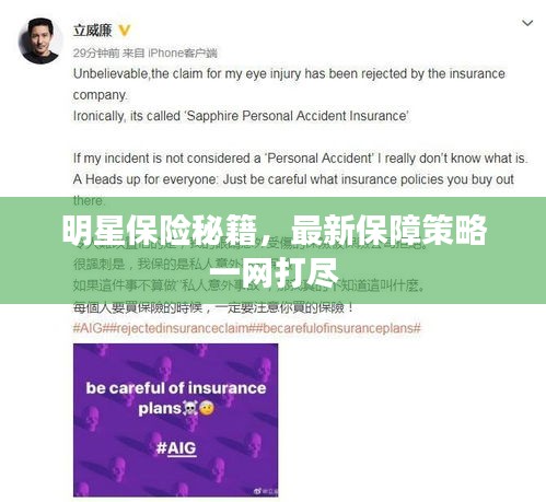明星保險秘籍，最新保障策略一網(wǎng)打盡