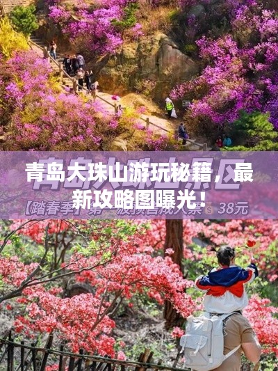 青島大珠山游玩秘籍，最新攻略圖曝光！