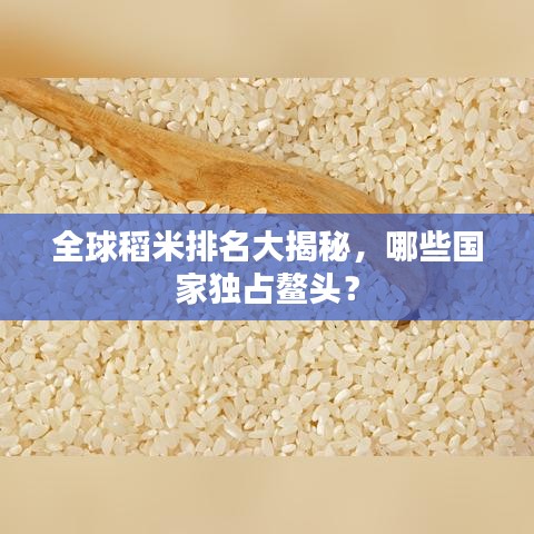 全球稻米排名大揭秘，哪些國(guó)家獨(dú)占鰲頭？