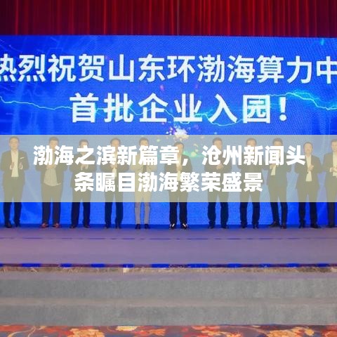 渤海之濱新篇章，滄州新聞頭條矚目渤海繁榮盛景