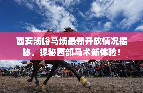 西安湯峪馬場最新開放情況揭秘，探秘西部馬術(shù)新體驗！