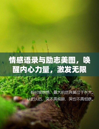 情感語錄與勵志美圖，喚醒內心力量，激發(fā)無限潛能
