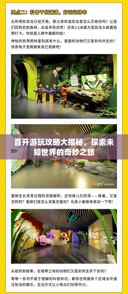 首開游玩攻略大揭秘，探索未知世界的奇妙之旅