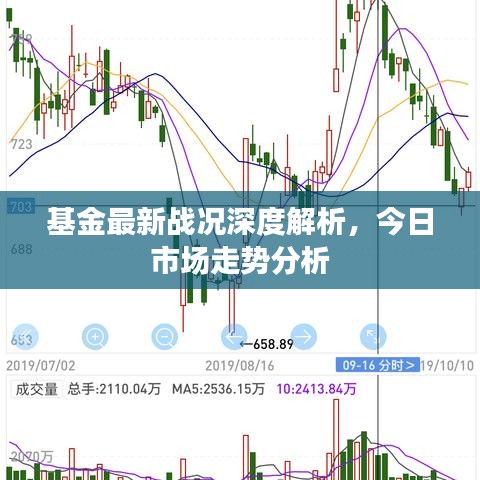 基金最新戰(zhàn)況深度解析，今日市場走勢分析