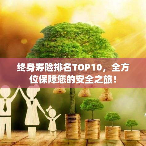 終身壽險(xiǎn)排名TOP10，全方位保障您的安全之旅！