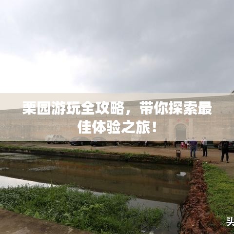 栗園游玩全攻略，帶你探索最佳體驗之旅！