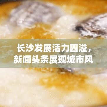 長沙發(fā)展活力四溢，新聞頭條展現(xiàn)城市風采