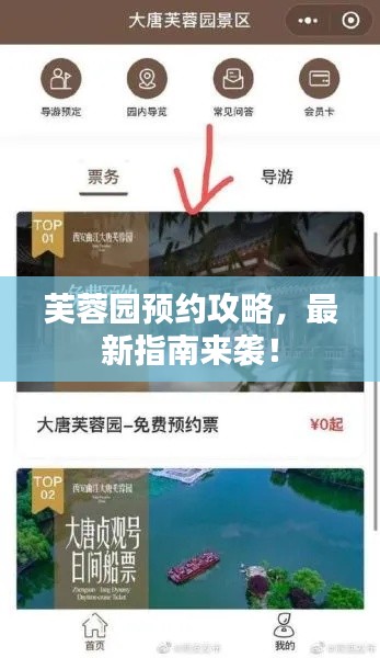 芙蓉園預(yù)約攻略，最新指南來(lái)襲！