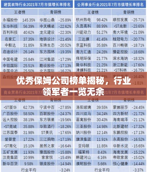 優(yōu)秀保姆公司榜單揭秘，行業(yè)領軍者一覽無余