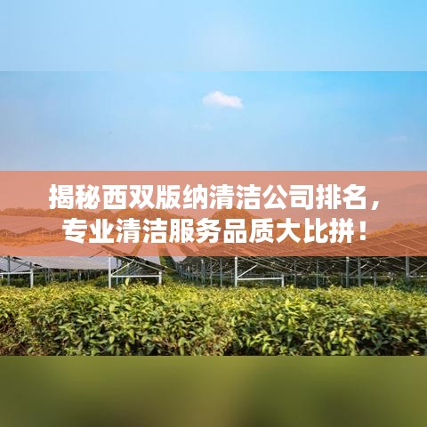 揭秘西雙版納清潔公司排名，專業(yè)清潔服務品質大比拼！