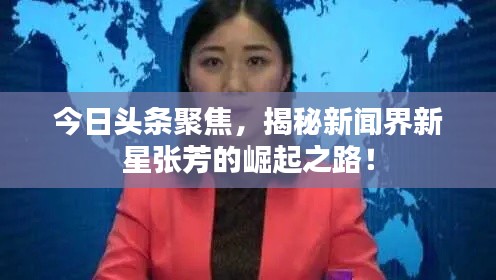 今日頭條聚焦，揭秘新聞界新星張芳的崛起之路！