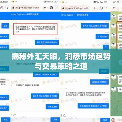 揭秘外匯天眼，洞悉市場(chǎng)趨勢(shì)與交易策略之道