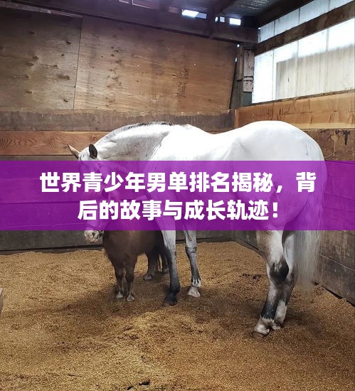 指手畫腳 第2頁(yè)