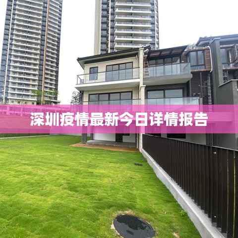深圳疫情最新今日詳情報告