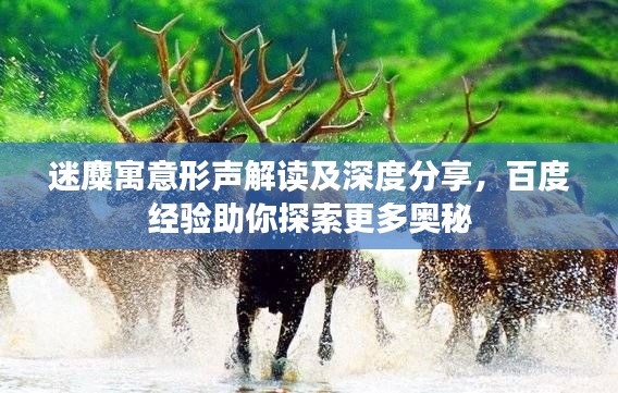 迷麋寓意形聲解讀及深度分享，百度經(jīng)驗(yàn)助你探索更多奧秘