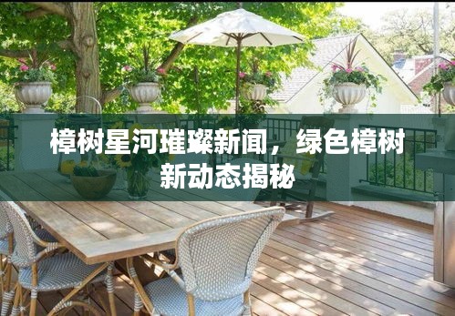 樟樹(shù)星河璀璨新聞，綠色樟樹(shù)新動(dòng)態(tài)揭秘