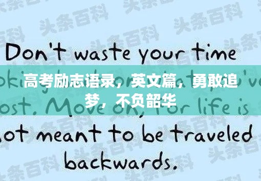 笨鳥先飛 第2頁
