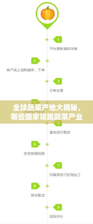 全球蔬菜產(chǎn)地大揭秘，哪些國家領(lǐng)跑蔬菜產(chǎn)業(yè)榜單？