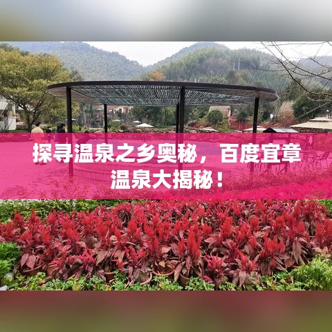探尋溫泉之鄉(xiāng)奧秘，百度宜章溫泉大揭秘！