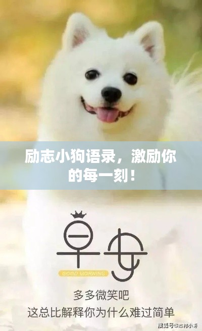 勵志小狗語錄，激勵你的每一刻！