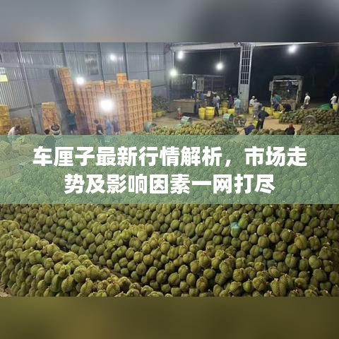 車?yán)遄幼钚滦星榻馕?，市場走勢及影響因素一網(wǎng)打盡