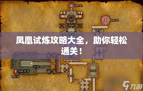 鳳凰試煉攻略大全，助你輕松通關(guān)！