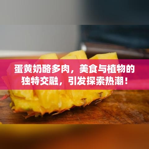 蛋黃奶酪多肉，美食與植物的獨(dú)特交融，引發(fā)探索熱潮！