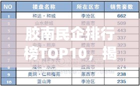 膠南民企排行榜TOP10，揭秘地方經(jīng)濟(jì)巨頭企業(yè)