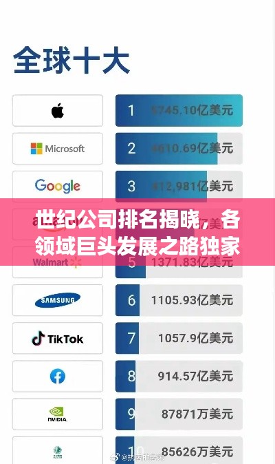 世紀(jì)公司排名揭曉，各領(lǐng)域巨頭發(fā)展之路獨家揭秘