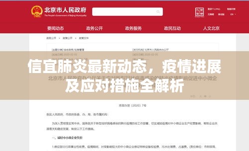 信宜肺炎最新動態(tài)，疫情進展及應(yīng)對措施全解析