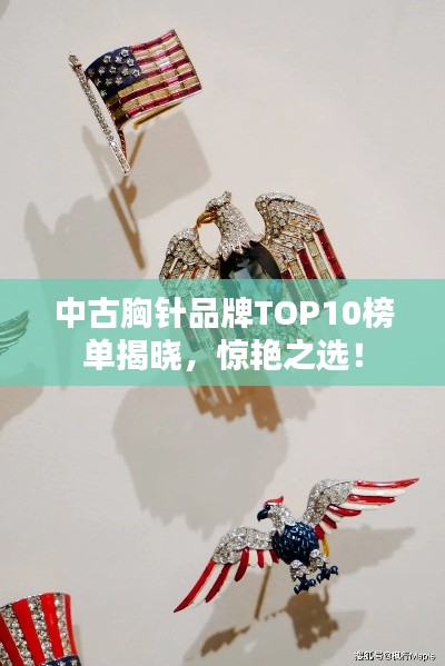 中古胸針品牌TOP10榜單揭曉，驚艷之選！