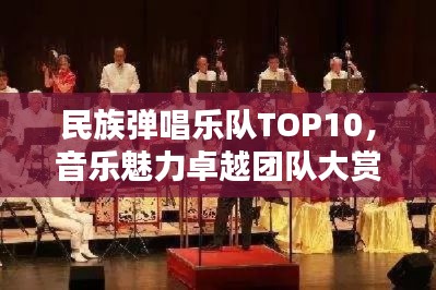 民族彈唱樂(lè)隊(duì)TOP10，音樂(lè)魅力卓越團(tuán)隊(duì)大賞
