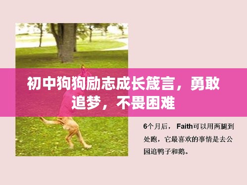 初中狗狗勵志成長箴言，勇敢追夢，不畏困難