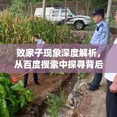 敗家子現(xiàn)象深度解析，從百度搜索中探尋背后的故事