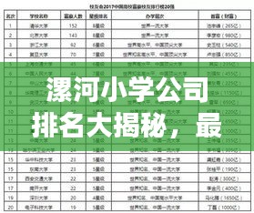 漯河小學(xué)公司排名大揭秘，最新榜單，家長必看！
