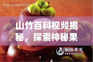 山竹百科視頻揭秘，探索神秘果實的奇妙之旅！