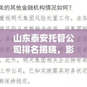 山東泰安托管公司排名揭曉，影響力深度剖析
