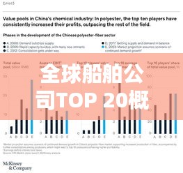 全球船舶公司TOP 20概覽，排名與實(shí)力解析