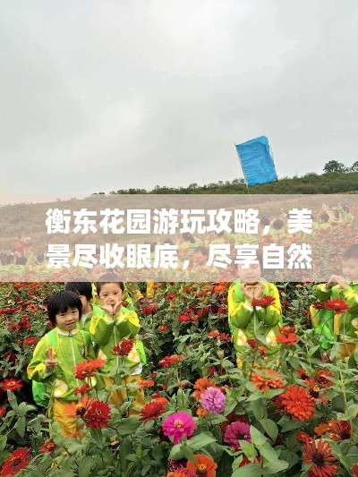 衡東花園游玩攻略，美景盡收眼底，盡享自然之旅！