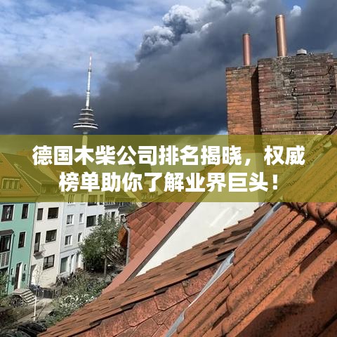 德國木柴公司排名揭曉，權威榜單助你了解業(yè)界巨頭！