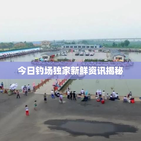 今日釣場(chǎng)獨(dú)家新鮮資訊揭秘