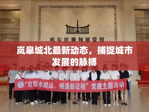 嵐皋城北最新動態(tài)，捕捉城市發(fā)展的脈搏