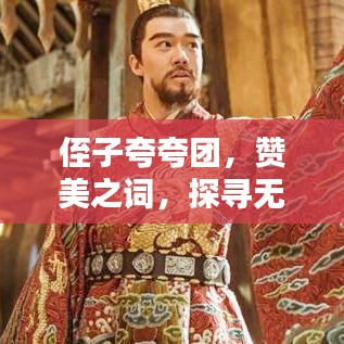 侄子夸夸團(tuán)，贊美之詞，探尋無盡光輝的魅力