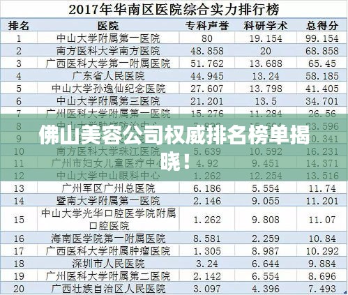 佛山美容公司權(quán)威排名榜單揭曉！