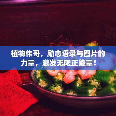 植物偉哥，勵志語錄與圖片的力量，激發(fā)無限正能量！