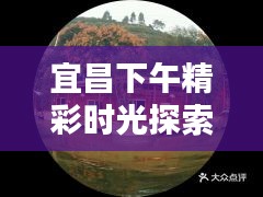 宜昌下午精彩時光探索攻略