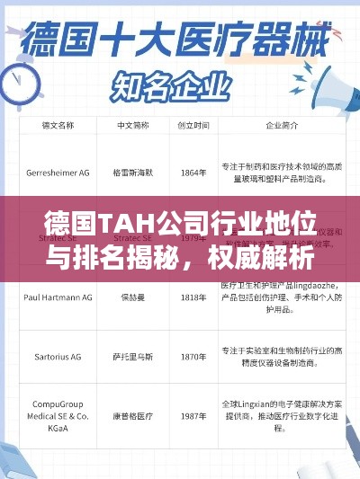 德國TAH公司行業(yè)地位與排名揭秘，權威解析引領關注焦點