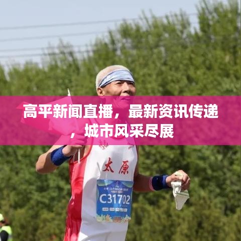 水浄鵝飛 第2頁